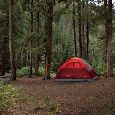 4-Person Flatwoods II™ Lightweight Dome Camping Tent
