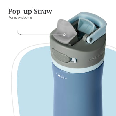 Contigo® Wells Chill Stainless Steel Filter Water Bottle with AUTOSPOUT® Straw Lid and Replacement Filter, 24 Oz.