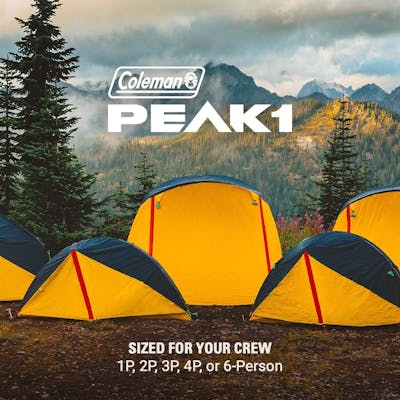 PEAK1™ 4-Person Dome Tent​